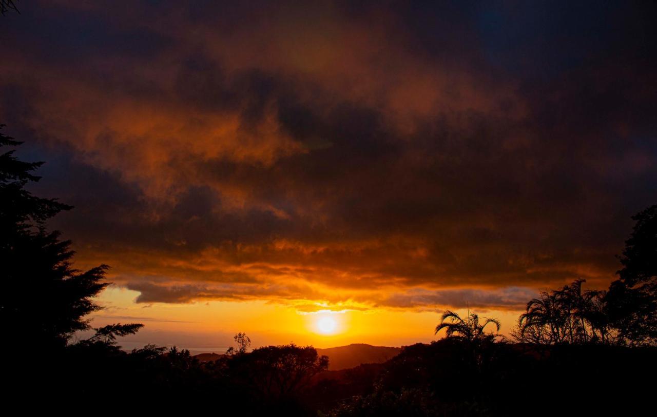 Sunset Apartments Monteverde Buitenkant foto
