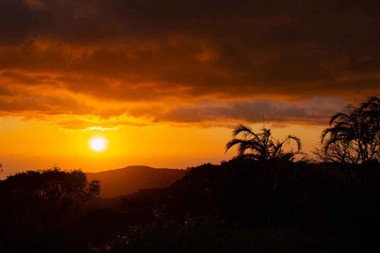 Sunset Apartments Monteverde Buitenkant foto