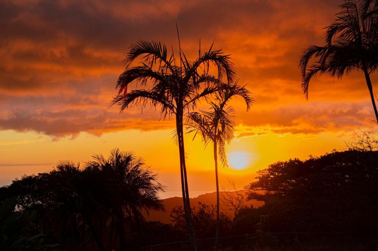 Sunset Apartments Monteverde Buitenkant foto