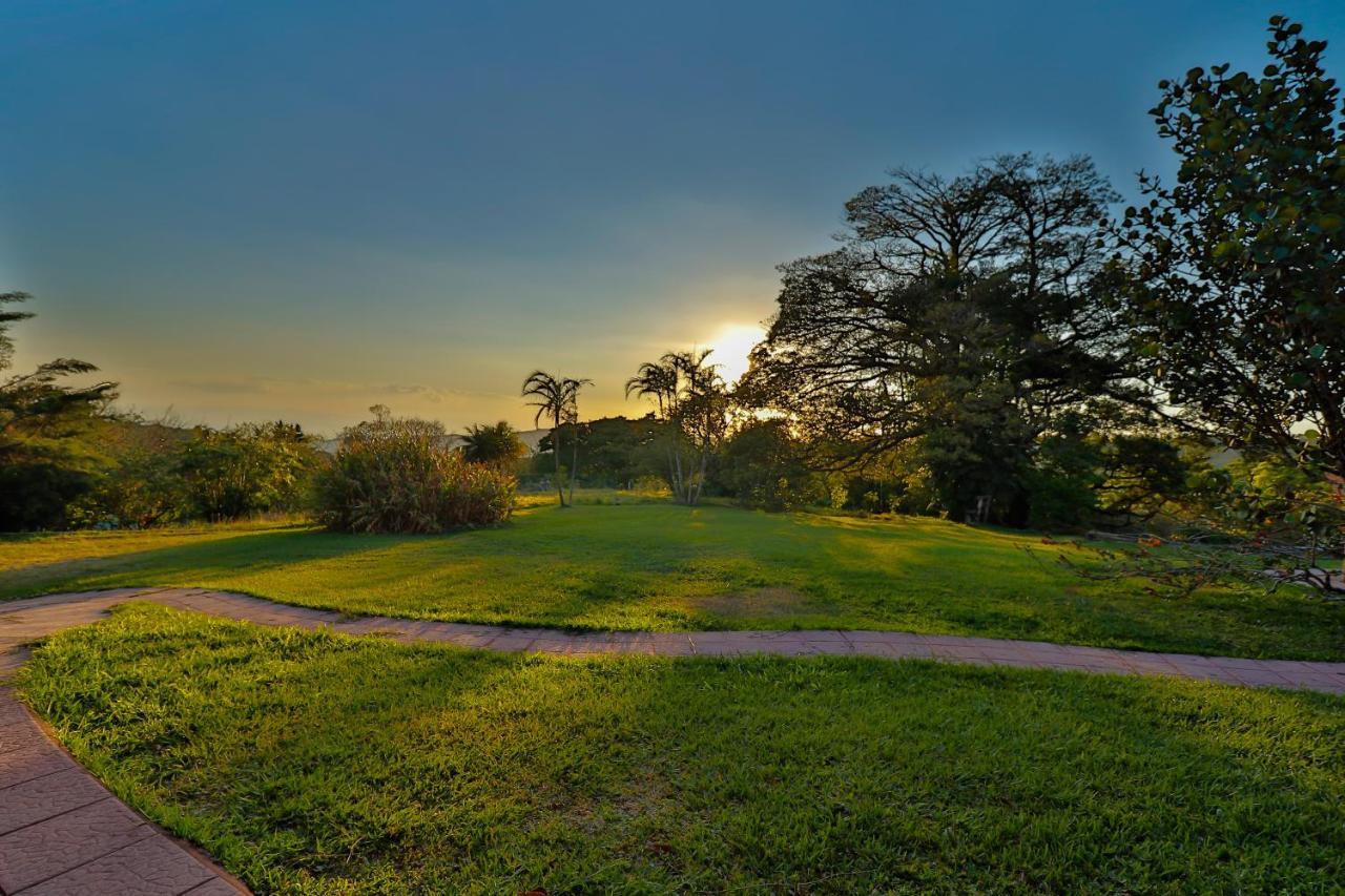Sunset Apartments Monteverde Buitenkant foto
