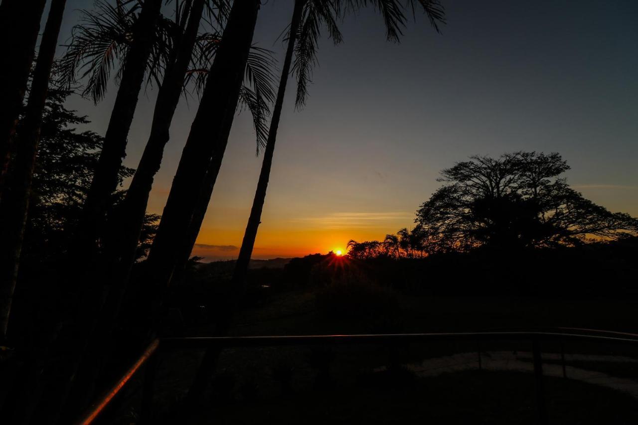 Sunset Apartments Monteverde Buitenkant foto